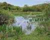 Het Zwanenwater | Natuurmonumenten