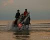 Hippisch Centrum Ameland