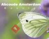 Homeopathie Abcoude Amsterdam