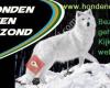 Honden eten gezond