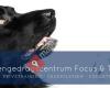 Hondengedragscentrum Focus&Training