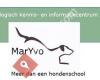 Hondenschool MarYvo Alkmaar