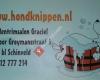 Hondentrimsalon Graciel