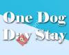 Hondenuitlaatservice One Dog Day Stay