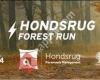 Hondsrug Forest Run