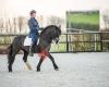 Horse ABC instructie & training