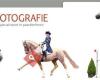 Horsefotografie