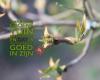 Hortus Virides