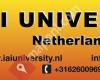 IAI University Holland