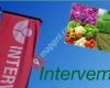 Intervema B.V.