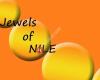 Jewels of NILE-Nicoline Lenskens