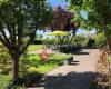 Jonckers Hoeve Groepsaccommodatie/Groot vakantiehuis Wapse Drenthe