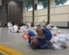 Judovereniging Shihan