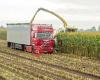 K.Mensen Agri & Transport BV