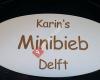 Karin' s Minibieb Delft