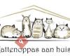 Kattenoppas Haarlem