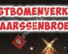 Kerstbomen Maarssenbroek