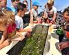 Kinderen op Terschelling