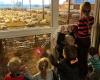 Kinderopvang 'Bij Lotte'