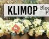 Klimop Bloemen & Planten