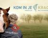 Kom in je kracht - Coaching met paarden