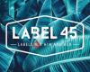 Label 45