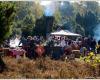 Landgut Twente Fair