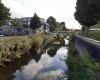 Leeuwarden Camminghaburen