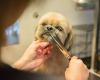 Linda's honden en kattentrimsalon