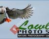 Lowland Photo Service