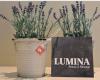 Lumina Beauty & Massage