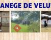Manege de Veluw