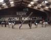 Manege Hippisch Centrum Nootdorp
