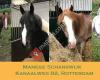 Manege Schanswijk