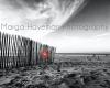 Marga Haveman Photography