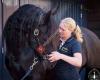 Marieke's PaardenZorg