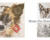 Misty's Pet Portraits