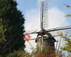 Molen 