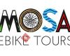 Mosa Ebike Tours