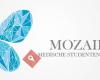 Mozaïek Medische Studentenvereniging