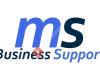 MS Business Support