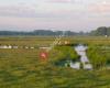 Natuur- en vogelwerkgroep de Grutto