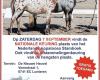 Nederlands Appaloosa Stamboek