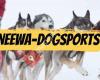 Neewa Dogsports