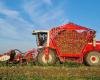 Nelisse Agro, Grond & Infra