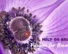 Nely de Bruin Passion for Flowers