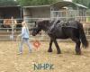 NHPK Natural Horse Power for Kids