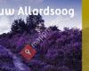 Nieuw Allardsoog
