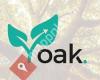 Oak Arbeidsbemiddeling