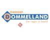 Omroep Dommelland